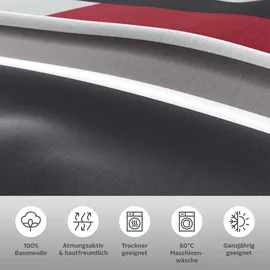 H.I.S. Bettwäsche "Etienne in Gr. 135x200 oder 155x220 cm", rot (anthrazit, rot), B/L: 135cm x 200cm, 1 Stk., 1 Stk., Linon, B/L: 80cm x 80cm, 2 Stk.