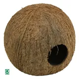  Cocos Cava 95 cm x 111 cm x 111 cm