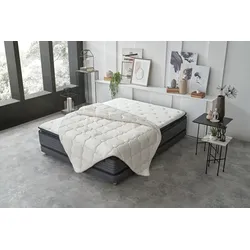 Naturhaarbettdecke YATAS BEDDING "Superwashed Wolle", beige, B:200cm L:200cm, Bezug: 100% Baumwolle. Füllung: 100% Wolle, Bettdecken