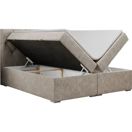 MKS Meble Boxspringbett 200 x 200 cm H4 Beige
