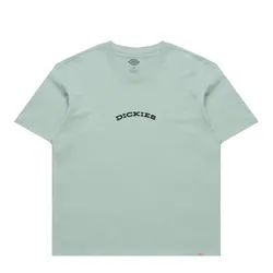 Dickies OUTDOOR TEE - Grün - S