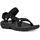 black 36