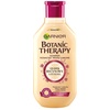 Garnier, Botanic Therapy Shampoo Stärkt Sprödes Haar Rizinusöl Und Mandel 400 ml, 1 stück
