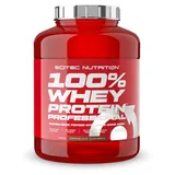 Scitec Nutrition 100% Whey Protein Professional Schokolade Pulver 2350 g