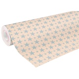 Clairefontaine 223801C Rolle Geschenkpapier mit Weihnachtsmotiven, 50 x 0,70m, 70g/qm, Recycling Kraftpapier, ideal für große Geschenke, 1 Stück, Silber