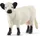 Schleich Farm World Galloway Kuh 13960