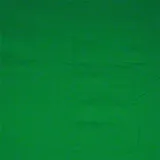 Walimex Stoffhintergrund grün