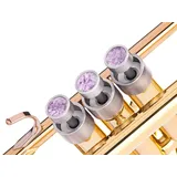 Schwere, benutzerdefinierte Trompeten-Fingerknöpfe für alle Bach-Stradivarius, Kunsthandwerker, New York, Chicago, TR200, alle Stradivarius Flügelhörner, alle Stradivarius Kornett-Modelle (versilbert,