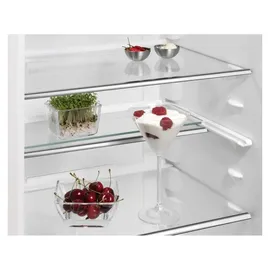 AEG TSF5O88WDF Einbaukühlschrank (118 l, 873 mm hoch)