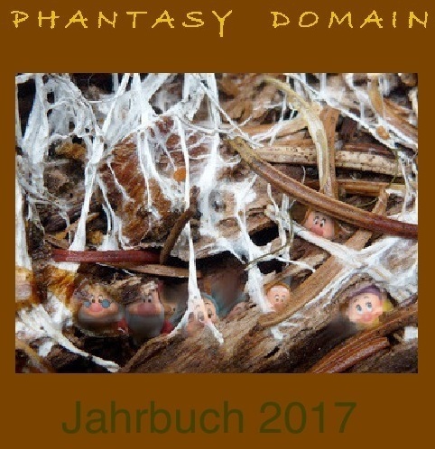 Phantasy Domain Jahrbuch / Phantasy-Domain Jahrbuch 2017 - Antip Sorokin  Kartoniert (TB)