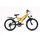 WYLD Zodiac 20 Zoll RH 31 cm Orange