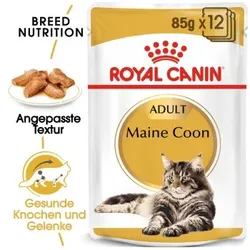 ROYAL CANIN Maine Coon Adult in Soße 12x85 g