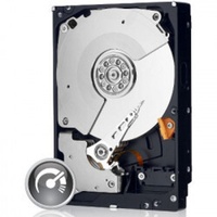 Black 500 GB 3,5" WD5003AZEX