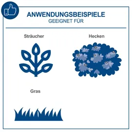 SCHEPPACH Akku-Gras- und Strauchschere C-HTGS200-X