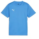Puma teamGOAL Trikot Kids