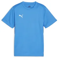 Puma teamGOAL Trikot Kids