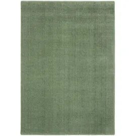 OCI DIE TEPPICHMARKE Soft Dream Hochflorteppich 200 x 200 cm Grün