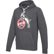 1. FC Köln Hoodie Basic Anthra/Rot XXL