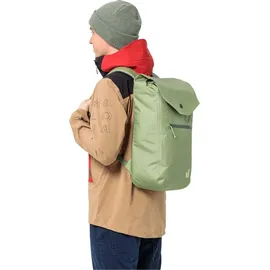 Deuter Drout 20 l grove
