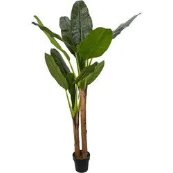 NATURN LIVING Zimmerpflanze Musa – ø 45 x 160 cm – Bananenpflanze aus Kunststoff – Kunstpflanze – Allergikerfreundliche Pflanze – Grün