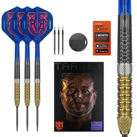 Target Darts Raymond van Barneveld G6 23 g