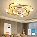 RRBEST Moderne Deckenventilator mit Beleuchtung,58CM Dimmbar LED Deckenleuchte Mit Ventilator,48W Timer Deckenventilator Mit Lampe Für Wohnzimmer Schlafzimmer Esszimmer (Gold)