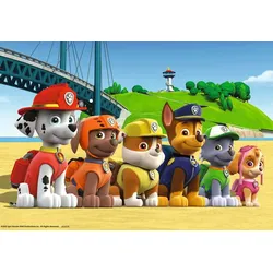 Heldenhafte Hunde
