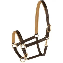 Waldhausen Star Lederhalfter Diamond Halfter Braun-Gold