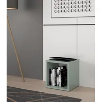 Forte Regalwürfel, Regalwürfel, B/H/T 38,2x38,3x32,9 cm, langlebige Beschichtung grün