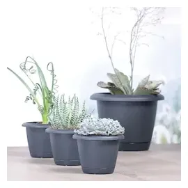 Prosperplast Respana Basic 39 x 27 cm Schwarz