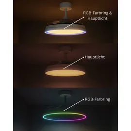 Melitec Deckenlampe mit Ventilator, Deckenventilator mit Beleuchtung, RGB, weiß,