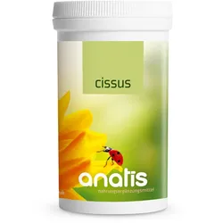 anatis Cissus (180 Kps.)