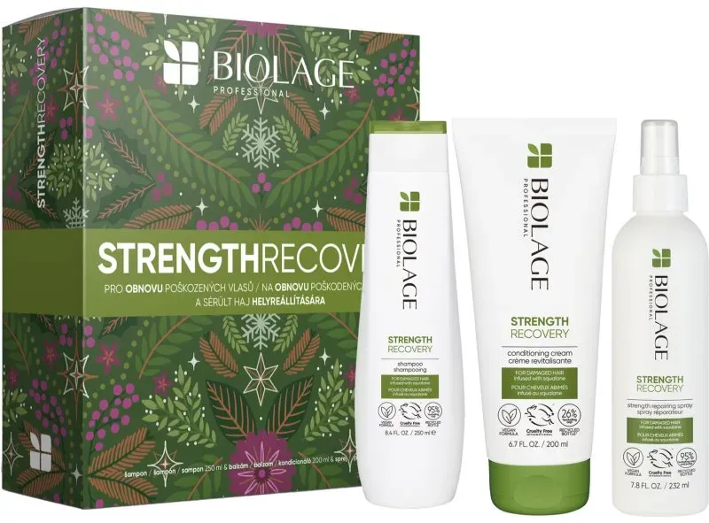 Biolage Strength Recovery Geschenkset für beschädigtes Haar