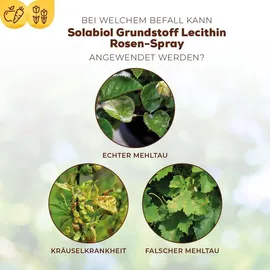 Solabiol Lecithin Rosen-Spray 1 l