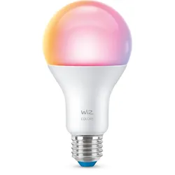 Signify WiZ Lampe 100W A67 E27, Intelligentes Leuchtmittel, WLAN, Weiß, E27, A67