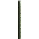 WINDHAGER Stahl Pflanzstab, Pflanzen-Rankstab, Pflanzenstütze, Rankhilfe, Pflanzstäbe, Tomatenstäbe, grün, 120 cm, 05623
