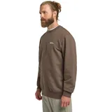 Jack Wolfskin Langarmshirt ESSENTIAL CREWNECK M braun M (50)