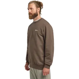 Jack Wolfskin Langarmshirt ESSENTIAL CREWNECK M braun M (50)