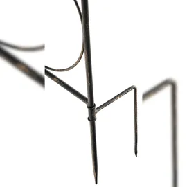 CLP Rankgitter Mandevilla 2er Set 100 x 200 cm Bronze