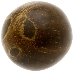Egg Shaker Kokosnuss