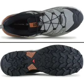 Salomon Herren X Ultra 360 LTR GTX Schuhe (Größe 43 , grau)