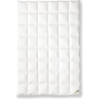 OBB 120 Jahre Daunendecke Sommer 155x220