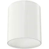 Ridi Ridi-Leuchten LED-Anbaudownlight ALBAR150ADA #0332772