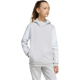adidas Hoodie Grau/Weiß 116