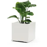 Euro3Plast Greener KEBE 41 x 41 x 40,5 cm Weiß