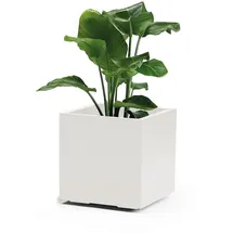 Euro3Plast Greener KEBE 41 x 41 x 40,5 cm Weiß