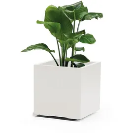 Euro3Plast Greener KEBE 41 x 41 x 40,5 cm Weiß