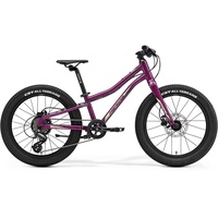 Merida MATTS J.20+ purple (champagne)