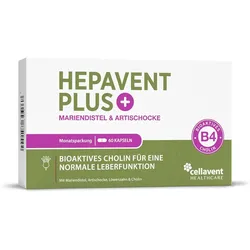 Leberkur Cholin Kapseln - Hepavent PLUS 60 Stück / 1 Monat
