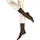 Esprit Socken Uni 2 Paar Braun 35-38